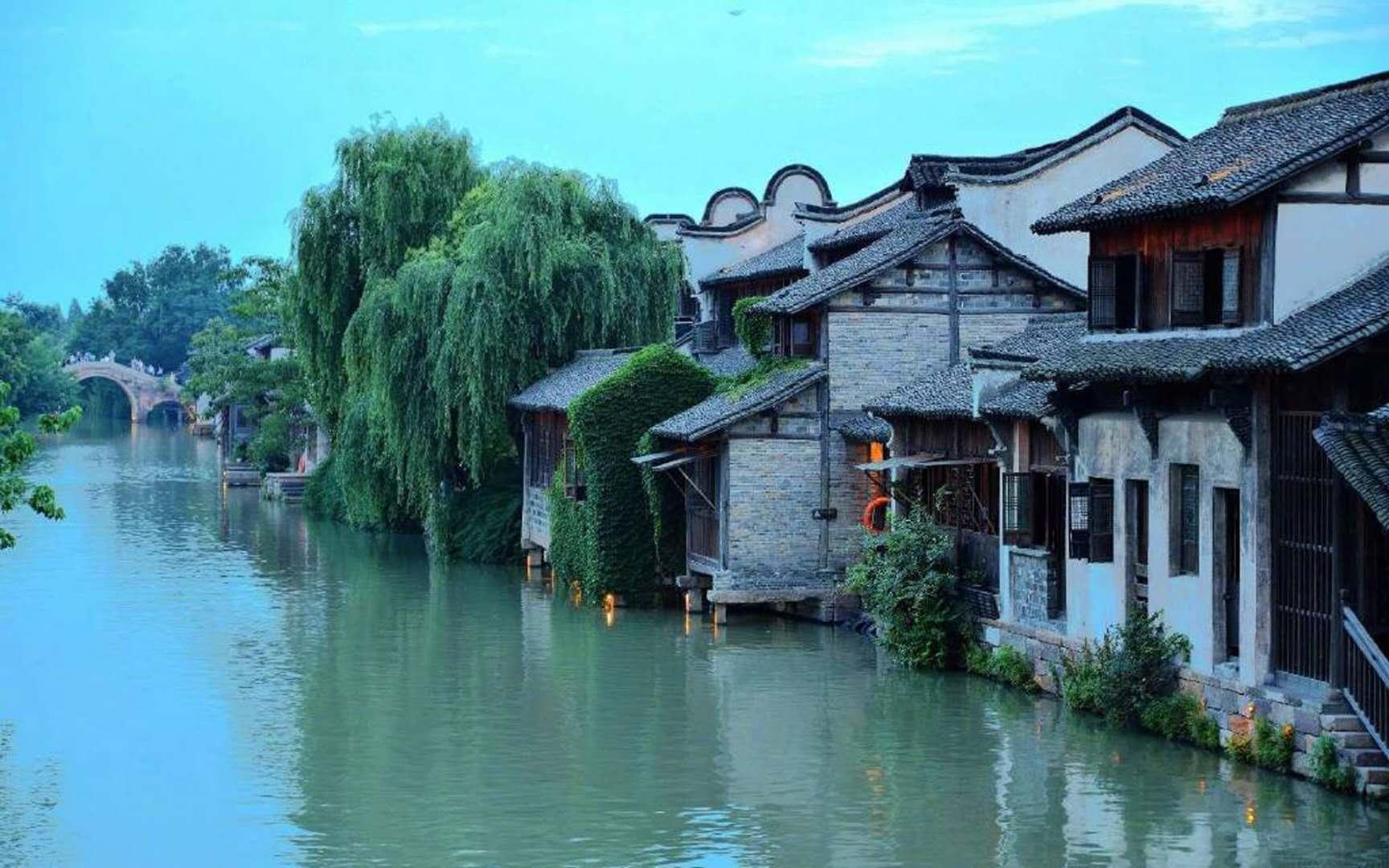 逃离制药厂